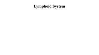 Lymphoid System
 