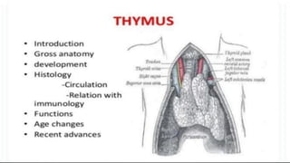 LYMPHOID TIASUES.pdf
