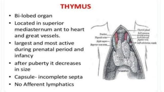 LYMPHOID TIASUES.pdf