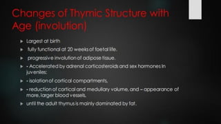 LYMPHOID TIASUES.pdf