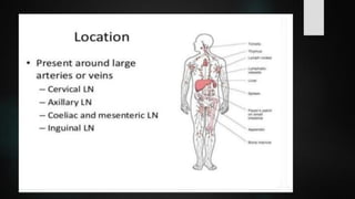 LYMPHOID TIASUES.pdf