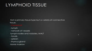 LYMPHOID TIASUES.pdf