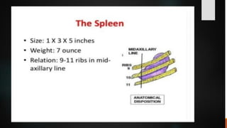 LYMPHOID TIASUES.pdf