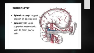 LYMPHOID TIASUES.pdf