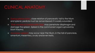 LYMPHOID TIASUES.pdf