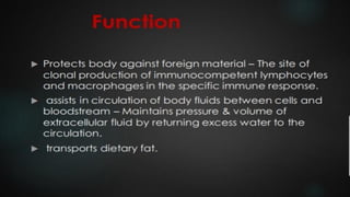 LYMPHOID TIASUES.pdf