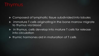 LYMPHOID TIASUES.pdf