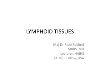 LYMPHOID TISSUES
Maj Dr Rishi Pokhrel
MBBS, MD
Lecturer, NAIHS
FAIMER Fellow, USA
 