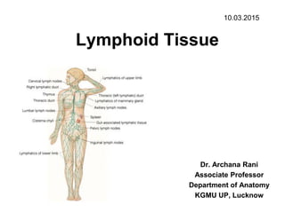 Lymphoid Tissue
Dr. Archana Rani
Associate Professor
Department of Anatomy
KGMU UP, Lucknow
10.03.2015
 