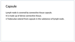 Lymphoid tissue 1st year histology mbbs.pptx