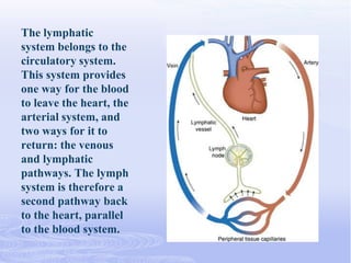 The Lymphatic System | PPTX