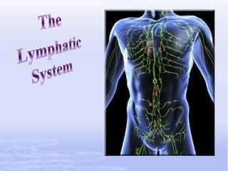 The,[object Object],Lymphatic System,[object Object]