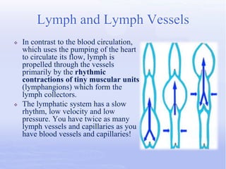 Lymphology | PPTX
