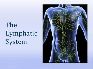 The
Lymphatic
System
 