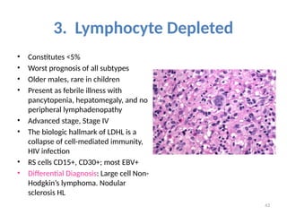 43
3. Lymphocyte Depleted
• Constitutes <5%
• Worst prognosis of all subtypes
• Older males, rare in children
• Present as febrile illness with
pancytopenia, hepatomegaly, and no
peripheral lymphadenopathy
• Advanced stage, Stage IV
• The biologic hallmark of LDHL is a
collapse of cell-mediated immunity,
HIV infection
• RS cells CD15+, CD30+; most EBV+
• Differential Diagnosis: Large cell Non-
Hodgkin’s lymphoma. Nodular
sclerosis HL
 