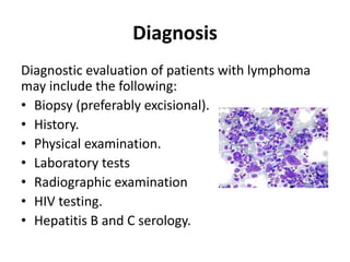 Diagnosis
Diagnostic evaluation of patients with lymphoma
may include the following:
• Biopsy (preferably excisional).
• History.
• Physical examination.
• Laboratory tests
• Radiographic examination
• HIV testing.
• Hepatitis B and C serology.
 