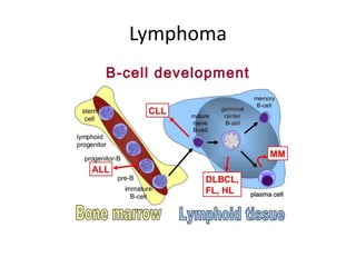 Lymphoma
 