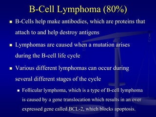 B-Cell Lymphoma (80%)
 B-Cells help make antibodies, which are proteins that
attach to and help destroy antigens
 Lymphomas are caused when a mutation arises
during the B-cell life cycle
 Various different lymphomas can occur during
several different stages of the cycle
 Follicular lymphoma, which is a type of B-cell lymphoma
is caused by a gene translocation which results in an over
expressed gene called BCL-2, which blocks apoptosis.
 
