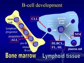 B-cell development
stem
cell
lymphoid
progenitor
progenitor-B
pre-B
immature
B-cell
memory
B-cell
plasma cell
DLBCL,
FL, HL
ALL
CLL
MM
germinal
center
B-cell
mature
naive
B-cell
 
