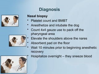 Lymphoma types and examination multiple mylar plasma cell lipid storage ...