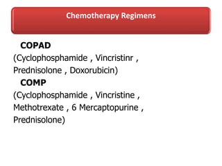 Chemotherapy Regimens
COPAD
(Cyclophosphamide , Vincristinr ,
Prednisolone , Doxorubicin)
COMP
(Cyclophosphamide , Vincristine ,
Methotrexate , 6 Mercaptopurine ,
Prednisolone)
 