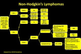 Lymphoma overview | PPTX
