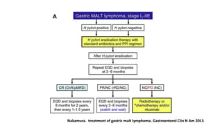 Nakamura. treatment of gastric malt lymphoma. Gastroenterol Clin N Am 2015
 