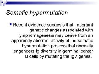 Somatic hypermutation
 Recent evidence suggests that important
genetic changes associated with
lymphomagenesis may derive from an
apparently aberrant activity of the somatic
hypermutation process that normally
engenders Ig diversity in germinal center
B cells by mutating the IgV genes.
 