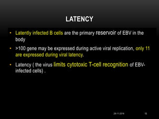 LATENCY
15
• Latently infected B cells are the primary reservoir of EBV in the
body
• >100 gene may be expressed during active viral replication, only 11
are expressed during viral latency.
• Latency ( the virus limits cytotoxic T-cell recognition of EBV-
infected cells) .
29-11-2016
 