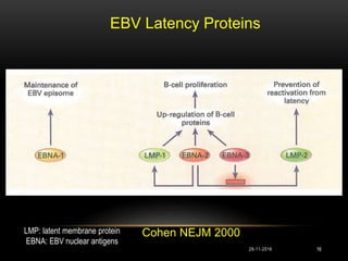 EBV Latency Proteins
Cohen NEJM 2000
29-11-2016 16
LMP: latent membrane protein
EBNA: EBV nuclear antigens
 