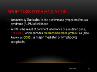 APOPTOSIS DYSREGULATION
• Dramatically illustrated in the autoimmune lymphoproliferative
syndrome (ALPS) of childhood
• ALPS is the result of dominant inheritance of a mutated gene,
TNFRSF6, which encodes the transmembrane protein Fas (also
known as CD95), a major mediator of lymphocyte
apoptosis
29-11-2016 27
 