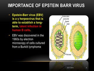 • Epstein-Barr virus (EBV)
is a γ herpesvirus that is
able to establish a long-
term, latent infection in
human B cells.
• EBV was discovered in the
1960s by electron
microscopy of cells cultured
from a Burkitt lymphoma
IMPORTANCE OF EPSTEIN BARR VIRUS
929-11-2016
 
