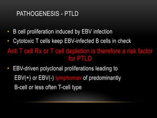 PATHOGENESIS - PTLD
• B cell proliferation induced by EBV infection
• Cytotoxic T cells keep EBV-infected B cells in check
Anti T cell Rx or T cell depletion is therefore a risk factor
for PTLD
• EBV-driven polyclonal proliferations leading to
EBV(+) or EBV(-) lymphomas of predominantly
B-cell or less often T-cell type
 