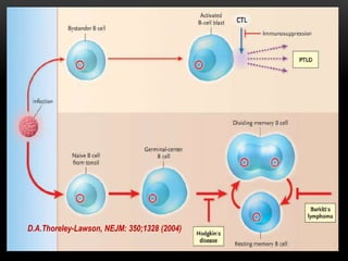 D.A.Thoreley-Lawson, NEJM: 350;1328 (2004)
 