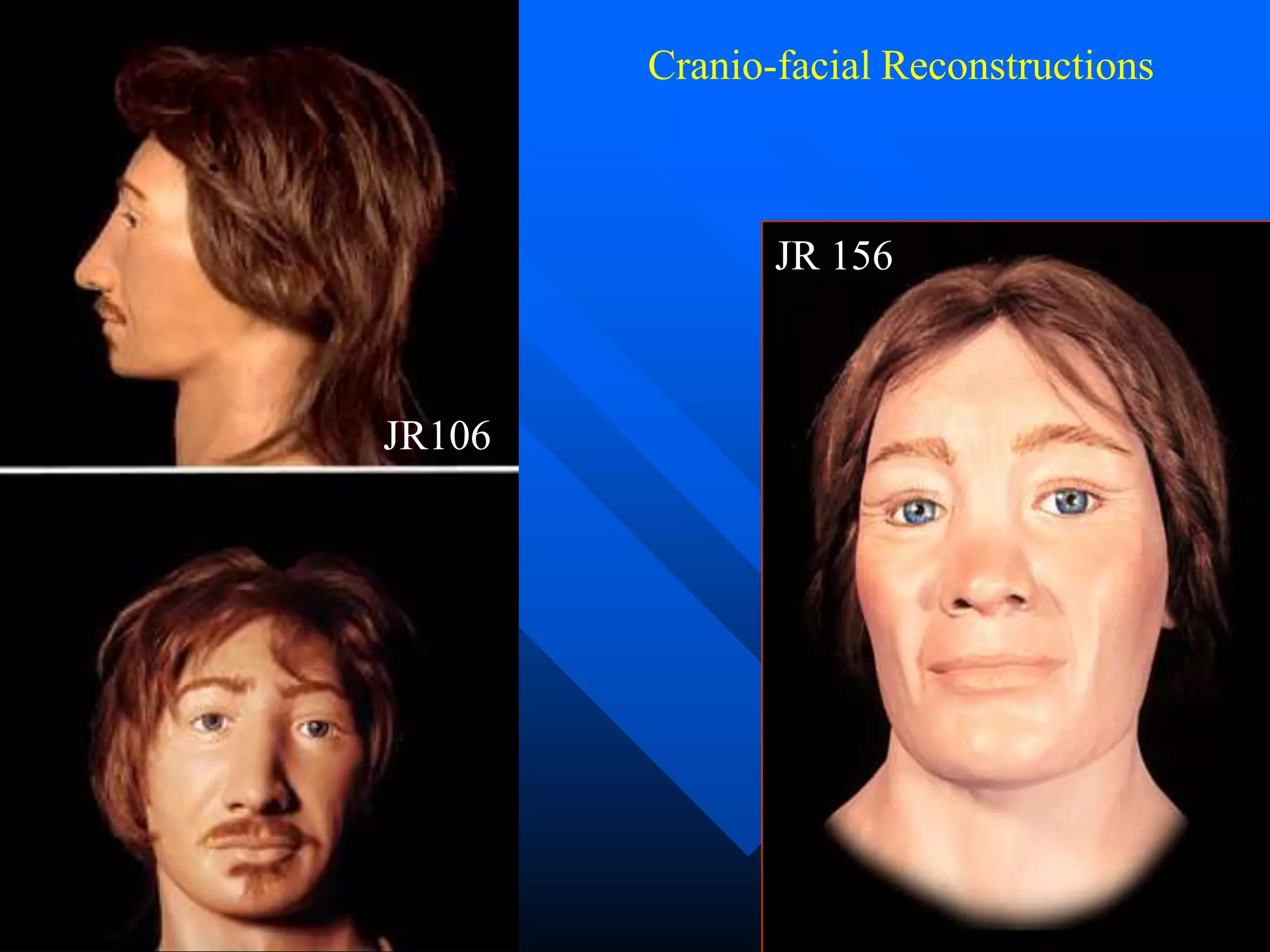 Cranio-facial Reconstructions



               JR 156



JR106
 