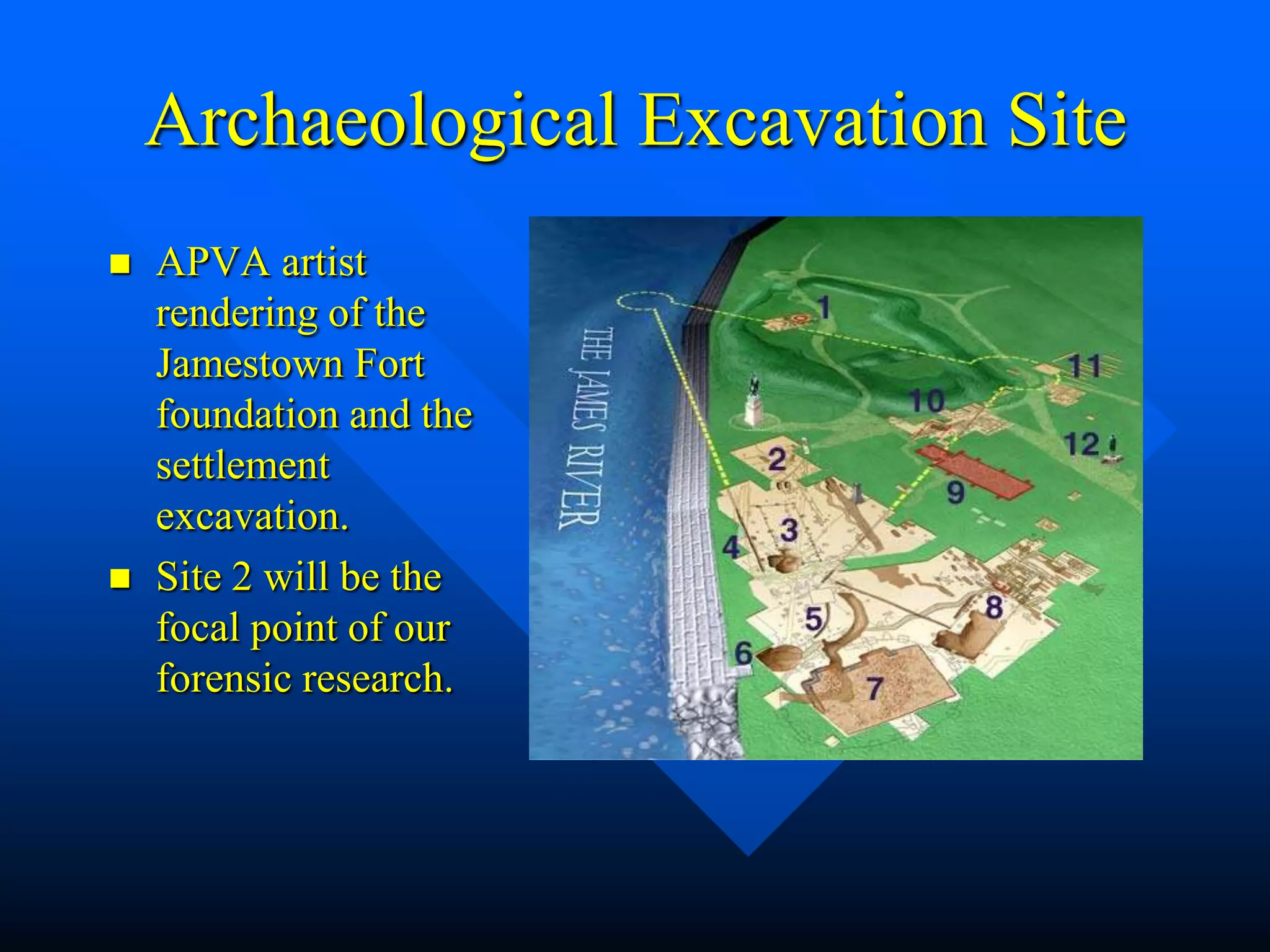 Archaeological Excavation Site
   APVA artist
    rendering of the
    Jamestown Fort
    foundation and the
    settlement
    excavation.
   Site 2 will be the
    focal point of our
    forensic research.
 