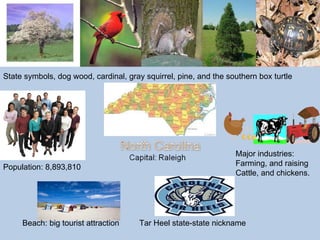State symbols, dog wood, cardinal, gray squirrel, pine, and the southern box turtle Population: 8,893,810 Major industries: Farming, and raising Cattle, and chickens. Beach: big tourist attraction Tar Heel state-state nickname 