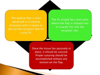The pedicle flap is then
advanced in a coronal
direction until it comes to
rest on the recipient bed for
a trial fit.
The fit should be a butt joint
where the flap is inlayed into
or exactly fits into the
recipient site.
Once the tissue lies passively in
place, it should be sutured.
Proper suturing should be
accomplished without any
tension on the flap.
 