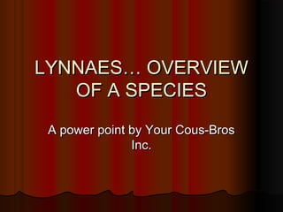 LYNNAES… OVERVIEWLYNNAES… OVERVIEW
OF A SPECIESOF A SPECIES
A power point by Your Cous-BrosA power point by Your Cous-Bros
Inc.Inc.
 