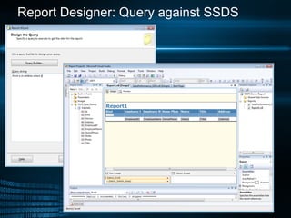 Report Designer: Query against SSDS 