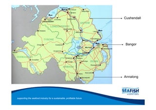 Cushendall




                                                                       Bangor




                                                                       Annalong




supporting the seafood industry for a sustainable, profitable future
 