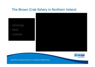 The Brown Crab fishery in Northern Ireland



   landings
   fleet
   market




supporting the seafood industry for a sustainable, profitable future
 