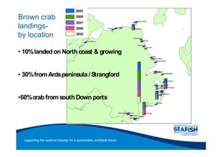 Brown crab
landings-
by location

 10% landed on North coast & growing


 30% from Ards peninsula / Strangford


60% crab from south Down ports




 supporting the seafood industry for a sustainable, profitable future
 