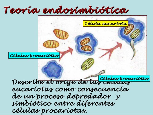 Imagen relacionada