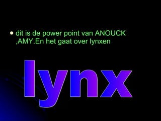 [object Object],lynx 
