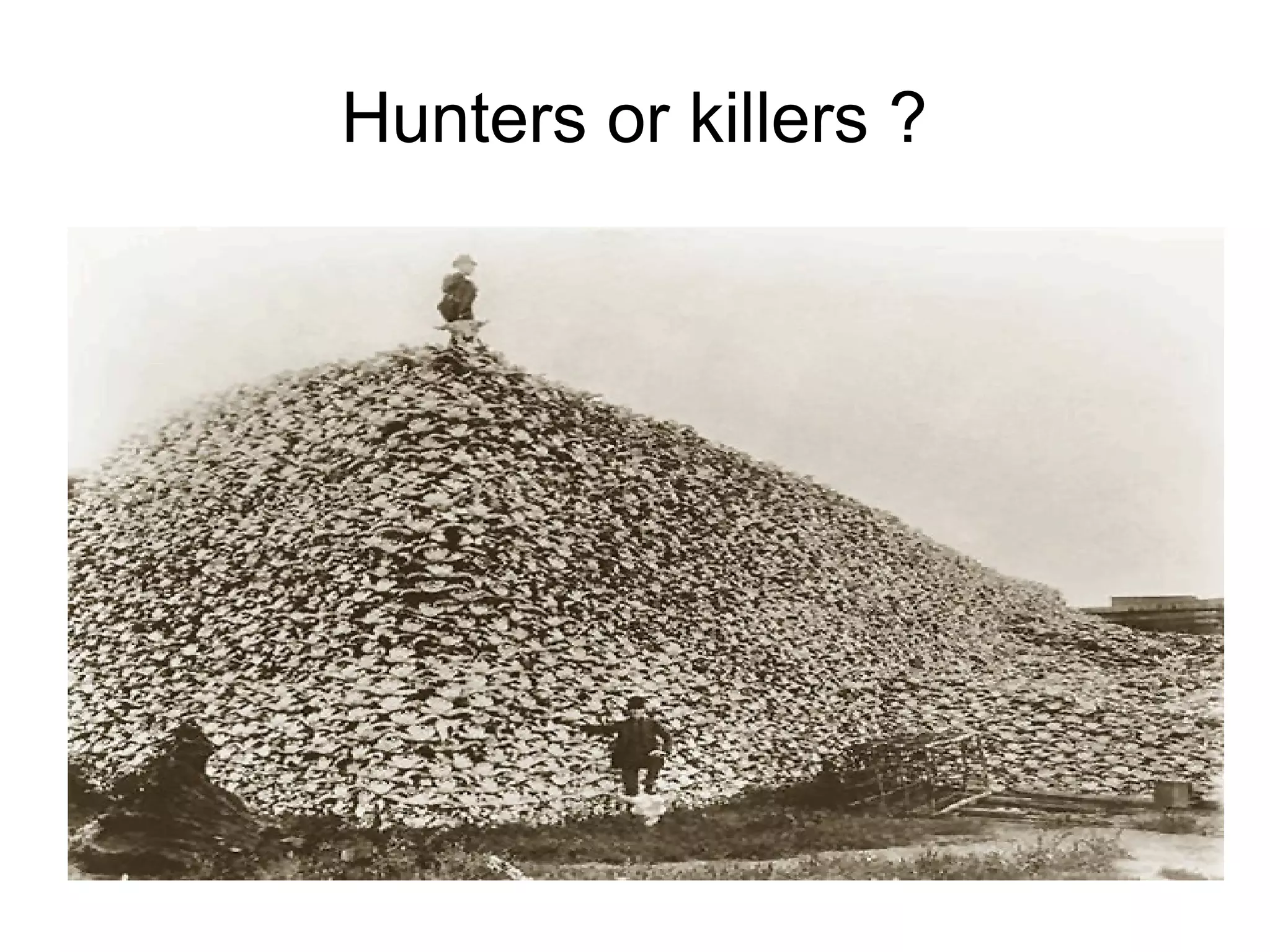 Hunters or killers ?
 