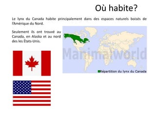 Où habite?
Le lynx du Canada habite principalement dans des espaces naturels boisés de
l’Amérique du Nord.
Seulement ils ont trouvé au
Canada, en Alaska et au nord
des les États-Unis.
 