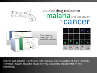 BioLynx Technologies is dedicated to the rapid commercialization of multi-functional
fluorescent-tagged drugs for drug discovery, diagnosing drug resistance, and
bioimaging.
 