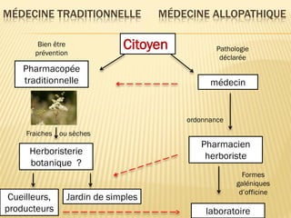 MÉDECINE TRADITIONNELLE MÉDECINE ALLOPATHIQUE
Citoyen
médecin
Pharmacien
herboriste
ordonnance
laboratoire
Formes
galéniques
d’officine
Pharmacopée
traditionnelle
Herboristerie
botanique ?
Fraiches ou sèches
Cueilleurs,
producteurs
Jardin de simples
Bien être
prévention
Pathologie
déclarée
 