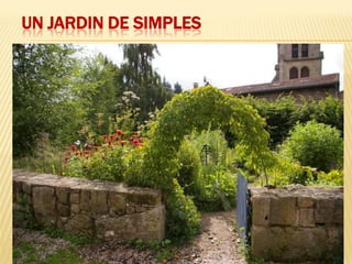 UN JARDIN DE SIMPLES
 